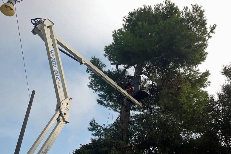 - RIPRODUZIONE RISERVATA