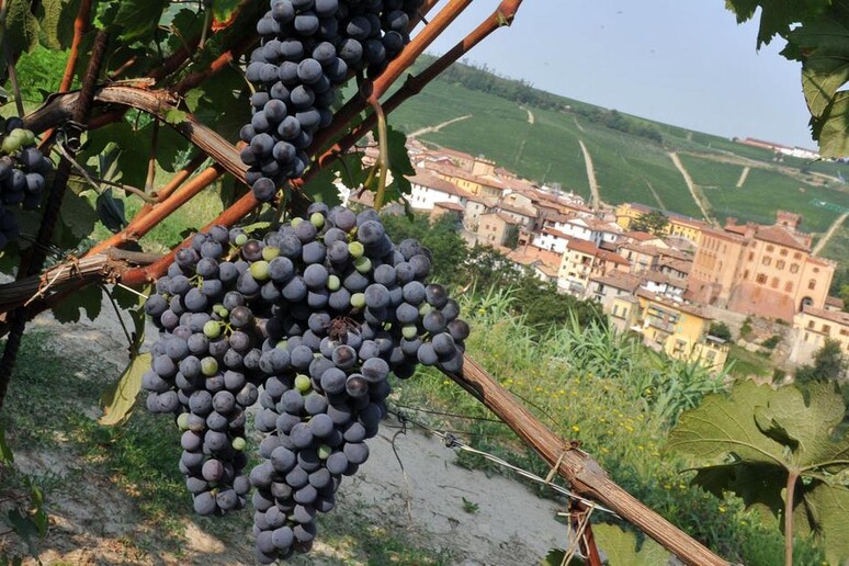 - RIPRODUZIONE RISERVATA