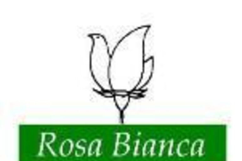 - RIPRODUZIONE RISERVATA