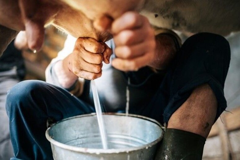 - RIPRODUZIONE RISERVATA