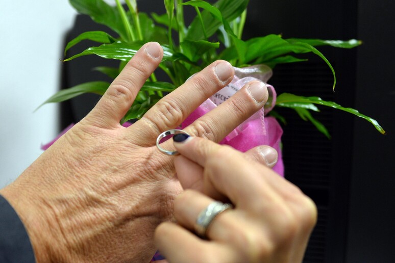 Novità in arrivo con il nuovo divorzio - RIPRODUZIONE RISERVATA