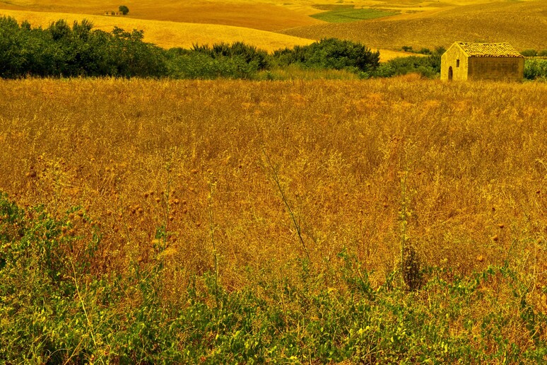 - RIPRODUZIONE RISERVATA