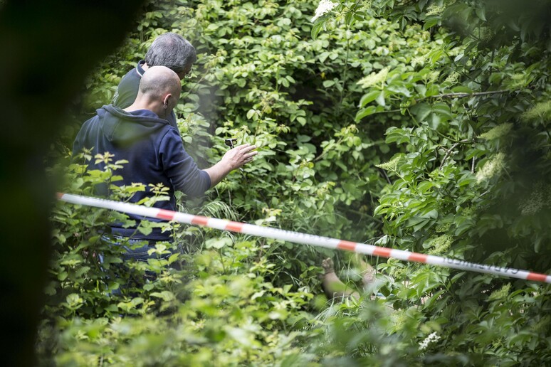 - RIPRODUZIONE RISERVATA