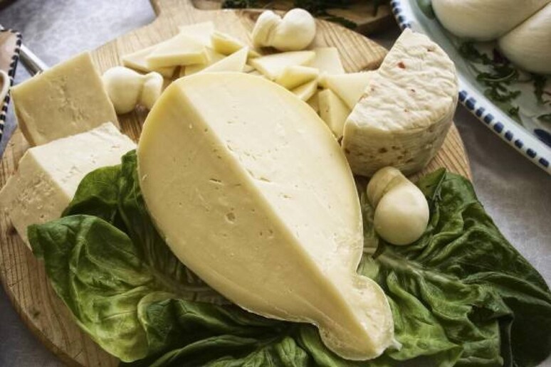 - RIPRODUZIONE RISERVATA