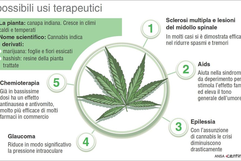 - RIPRODUZIONE RISERVATA