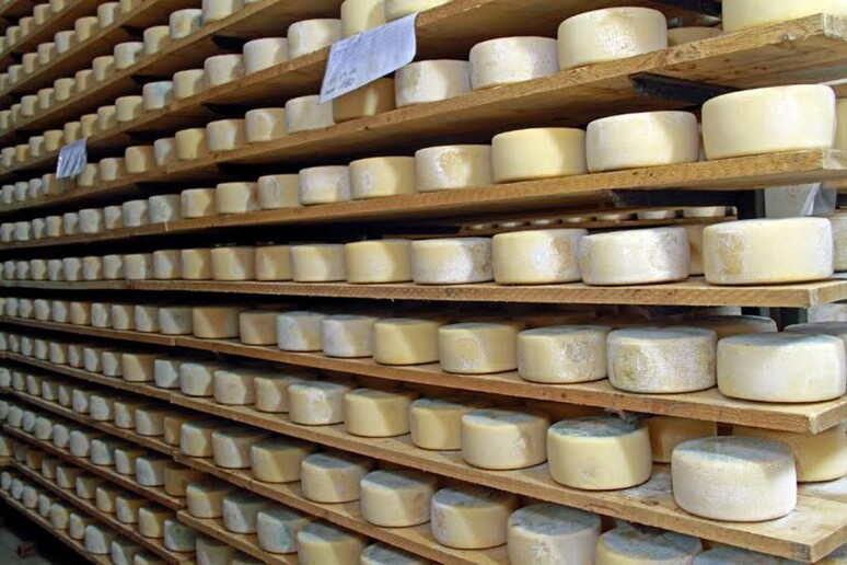 - RIPRODUZIONE RISERVATA