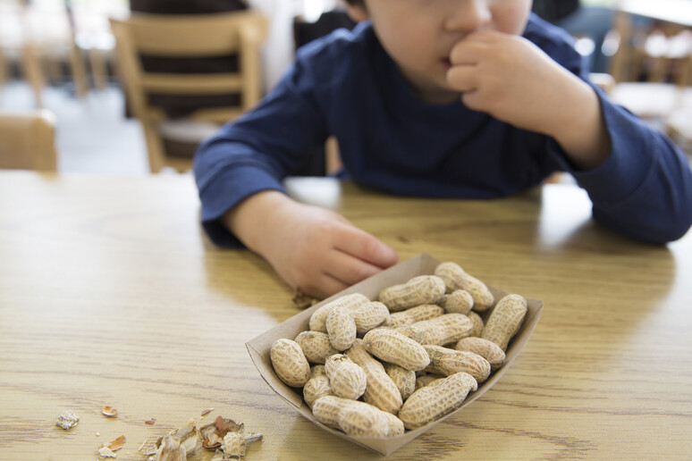 Al Meyer desensibilizzazione a 2500 bimbi con allergie alimenti - RIPRODUZIONE RISERVATA