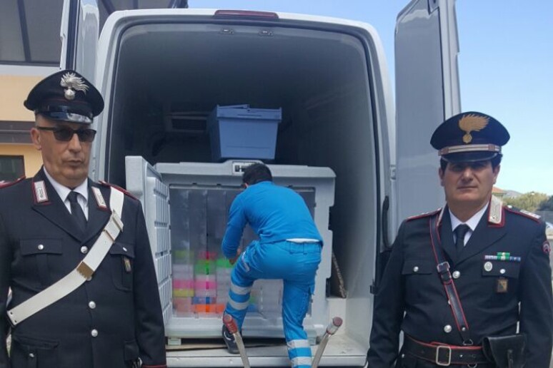 - RIPRODUZIONE RISERVATA