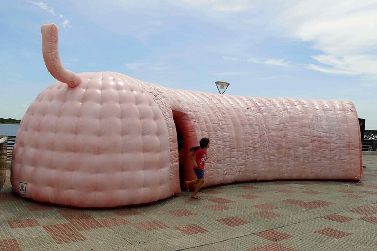 Colon gonfiabile gigante, foto d 'archivio © ANSA/EPA