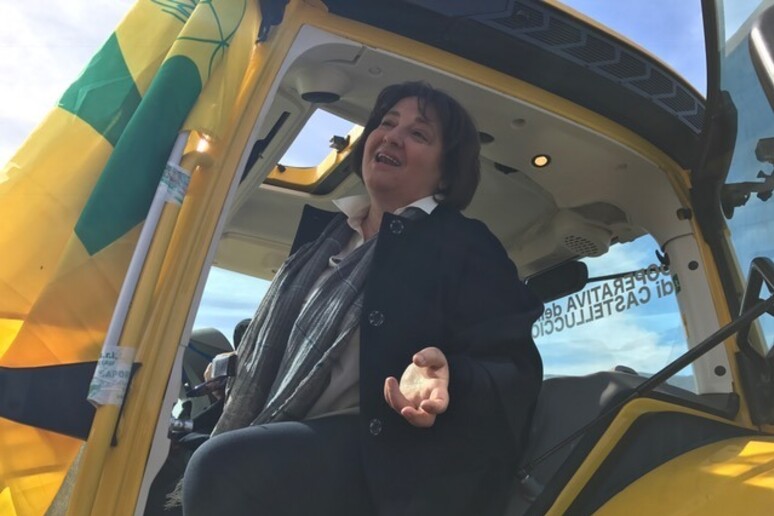 - RIPRODUZIONE RISERVATA