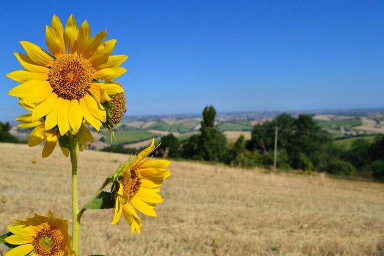 - RIPRODUZIONE RISERVATA