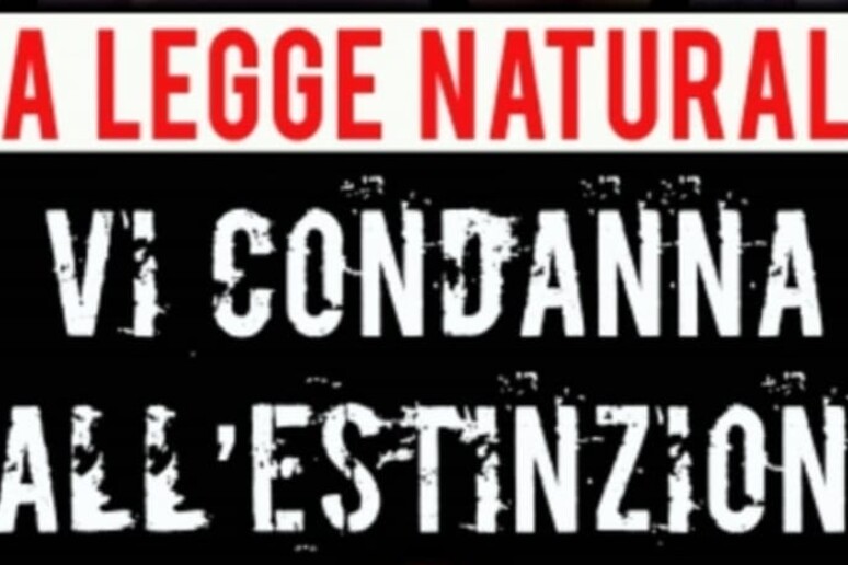 A Varese volantini anti-Gay Pride,  'condannati a estinzione ' - RIPRODUZIONE RISERVATA