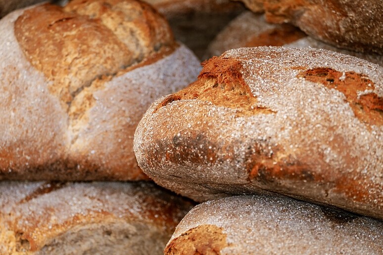 Pane (fonte: Pixabay) - RIPRODUZIONE RISERVATA