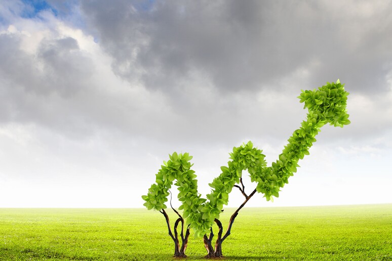 Green Economy - RIPRODUZIONE RISERVATA
