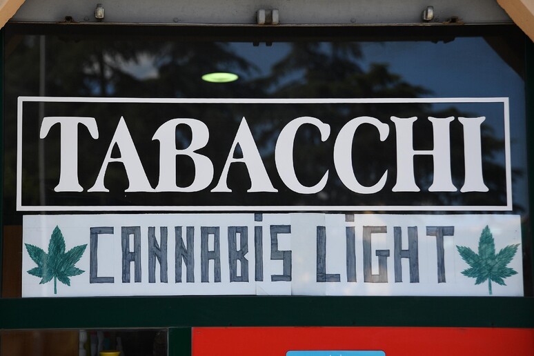Un tabacchi vende prodotti e derivati della cannabis - RIPRODUZIONE RISERVATA