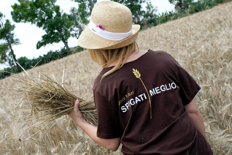 - RIPRODUZIONE RISERVATA