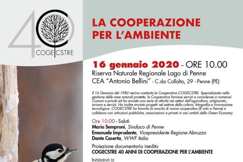 - RIPRODUZIONE RISERVATA