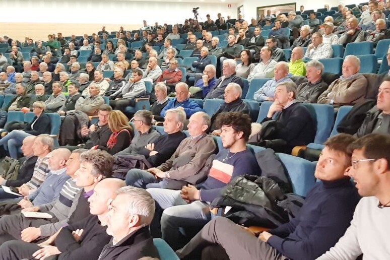 - RIPRODUZIONE RISERVATA