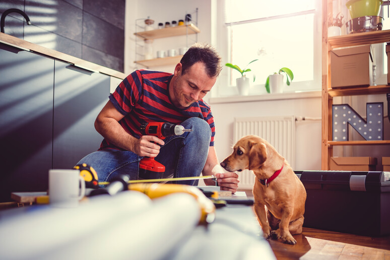 Lavori in casa, il cane guarda incuriosito foto iStock. - RIPRODUZIONE RISERVATA