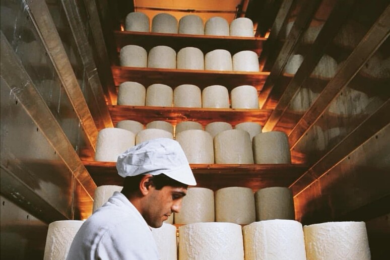 - RIPRODUZIONE RISERVATA