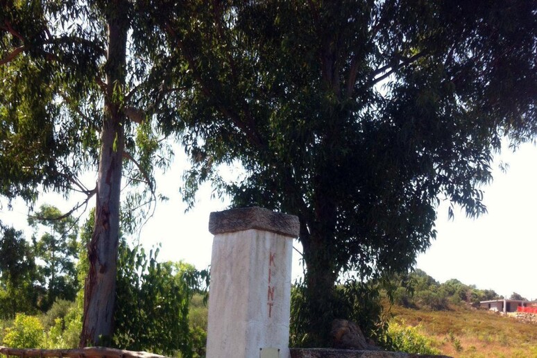 - RIPRODUZIONE RISERVATA