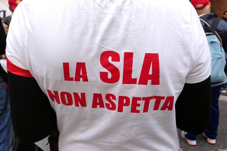 (Archivio ANSA) - RIPRODUZIONE RISERVATA