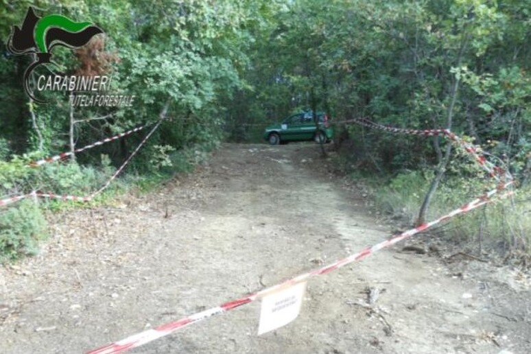 - RIPRODUZIONE RISERVATA