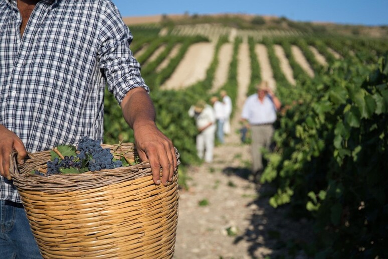 - RIPRODUZIONE RISERVATA