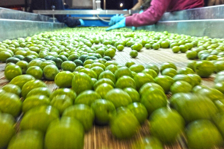 - RIPRODUZIONE RISERVATA