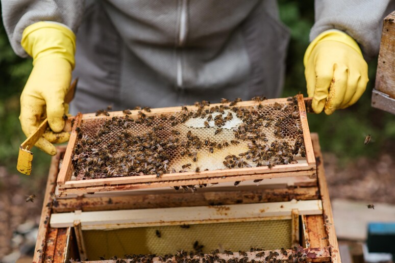- RIPRODUZIONE RISERVATA