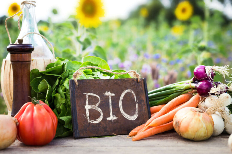 - RIPRODUZIONE RISERVATA