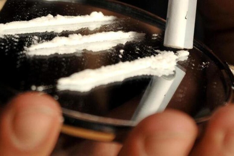 Cocaina. Immagine d 'archivio - RIPRODUZIONE RISERVATA