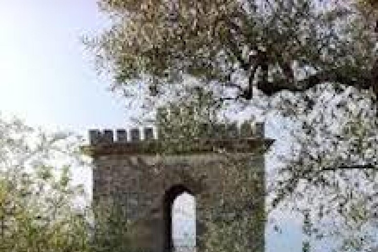 - RIPRODUZIONE RISERVATA