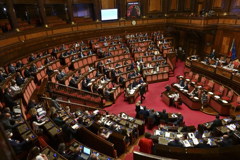 L 'Aula del Senato - RIPRODUZIONE RISERVATA