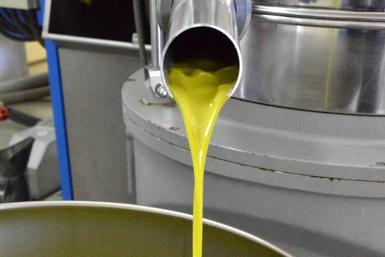- RIPRODUZIONE RISERVATA