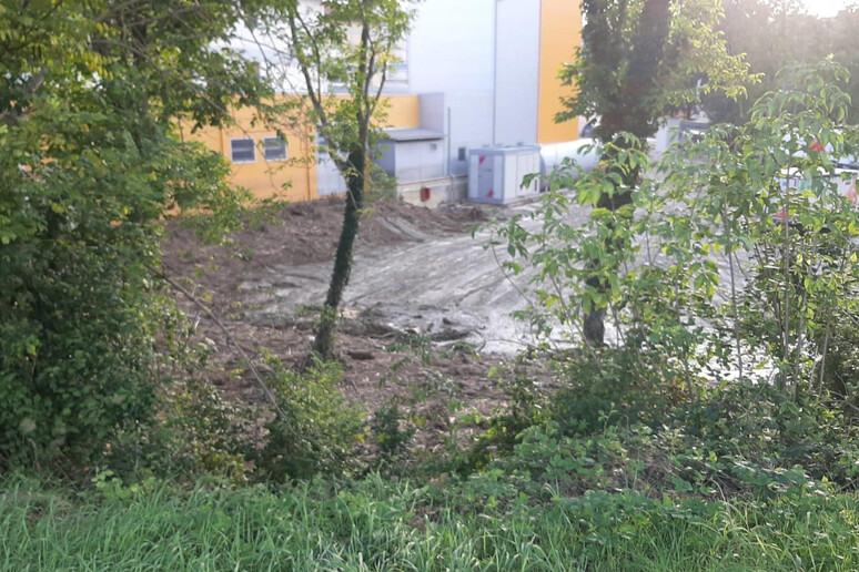 - RIPRODUZIONE RISERVATA
