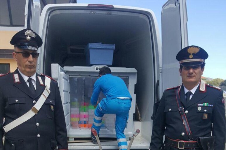 - RIPRODUZIONE RISERVATA