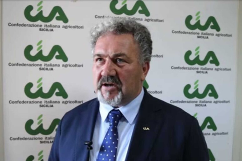 - RIPRODUZIONE RISERVATA