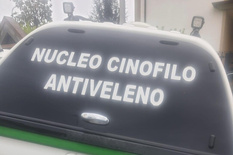 - RIPRODUZIONE RISERVATA