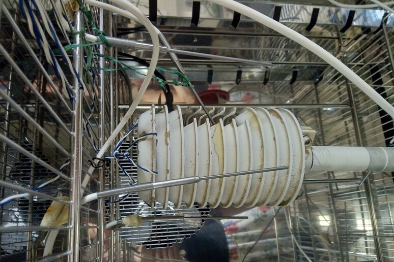 - RIPRODUZIONE RISERVATA