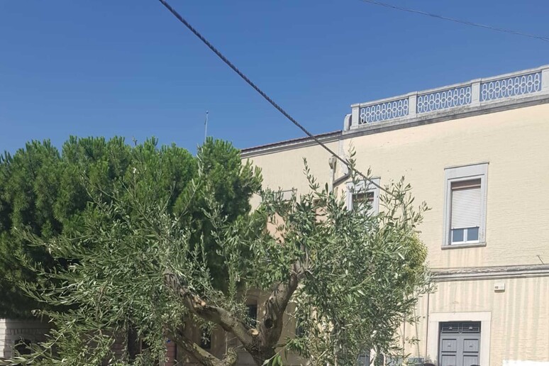 - RIPRODUZIONE RISERVATA
