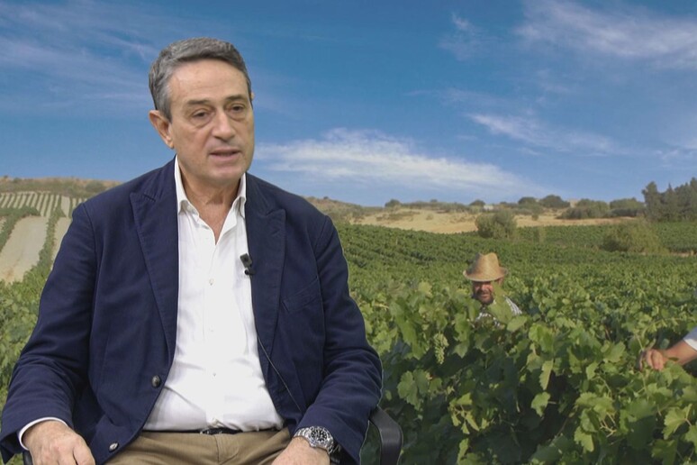 - RIPRODUZIONE RISERVATA