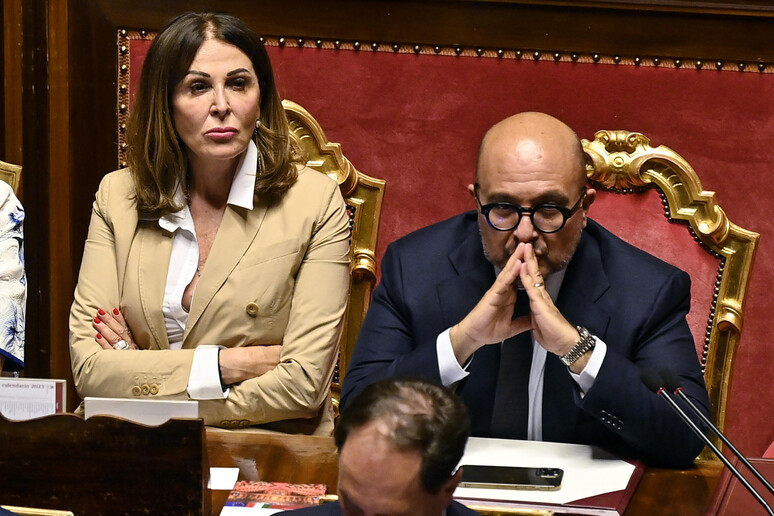 La ministra Santanchè in Aula al Senato - RIPRODUZIONE RISERVATA