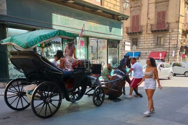 - RIPRODUZIONE RISERVATA