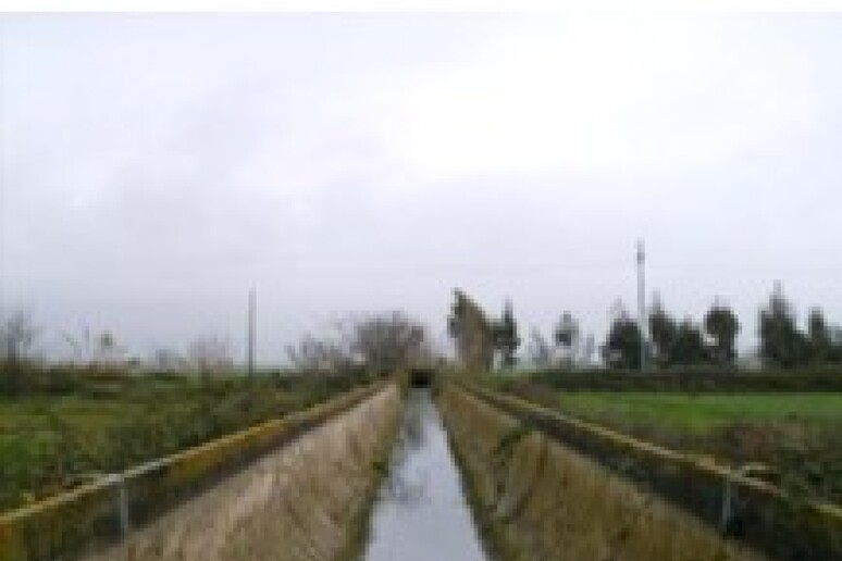 - RIPRODUZIONE RISERVATA