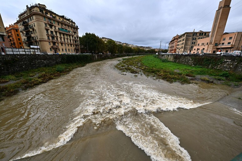 - RIPRODUZIONE RISERVATA