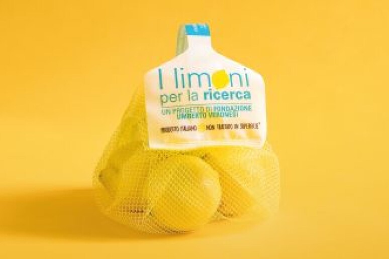 -     RIPRODUZIONE RISERVATA