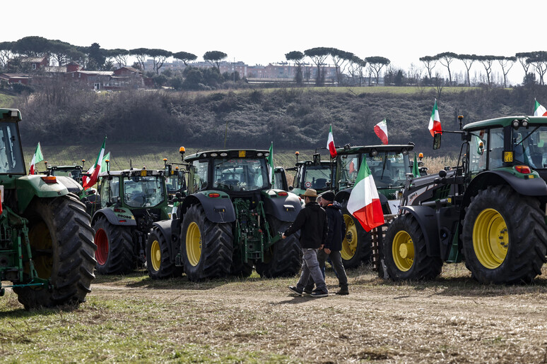 -     RIPRODUZIONE RISERVATA