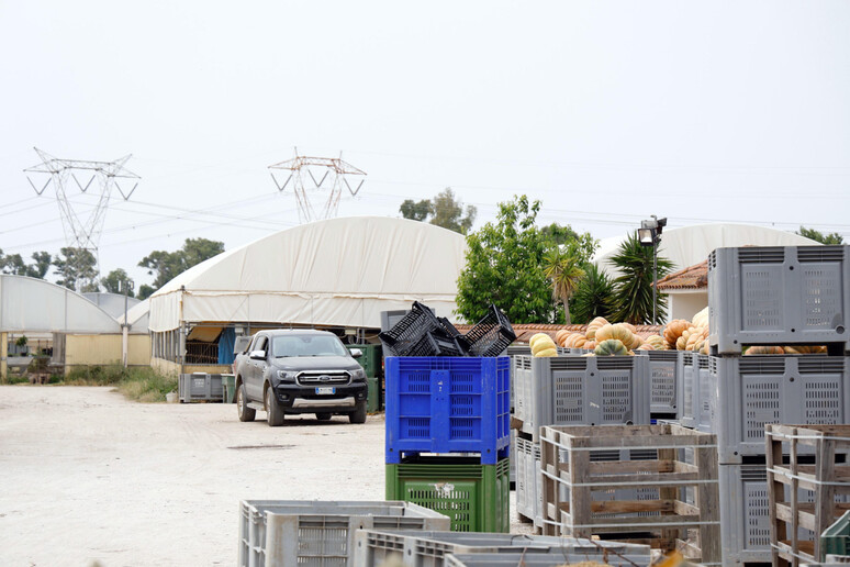 L 'Azienda agricola Lovato dove lavorava Satnam Singh - RIPRODUZIONE RISERVATA