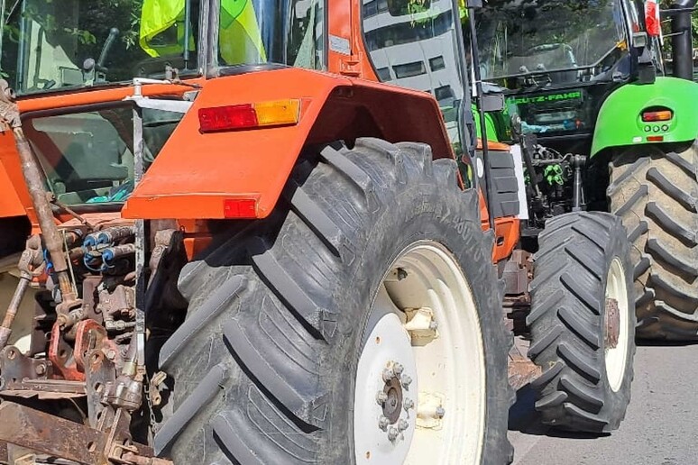 L 'Ue propone aiuti da 37,4 milioni per gli agricoltori italiani - RIPRODUZIONE RISERVATA